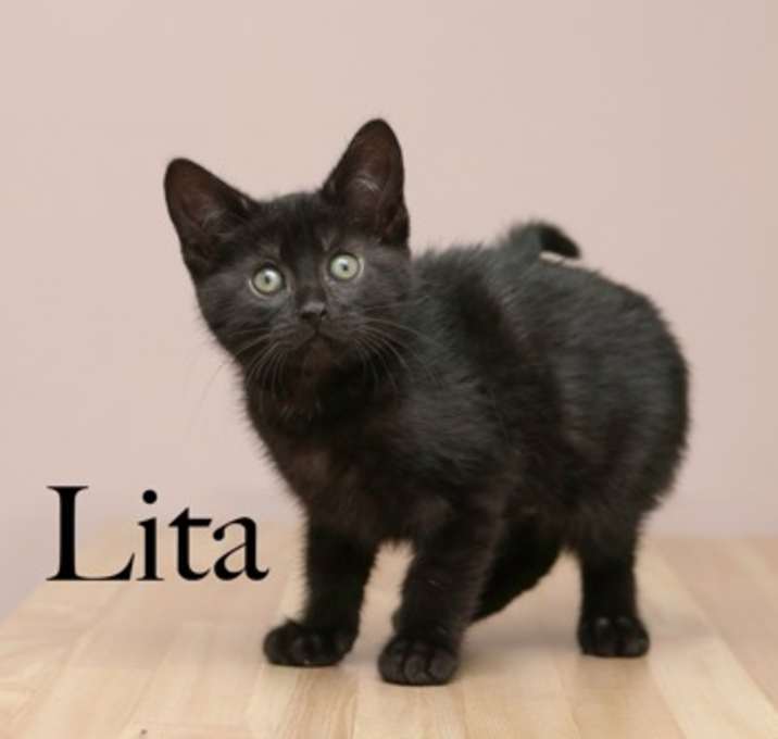 Photo of Lita