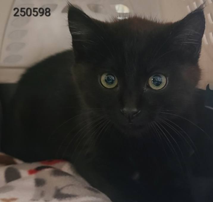 Photo of Ezra