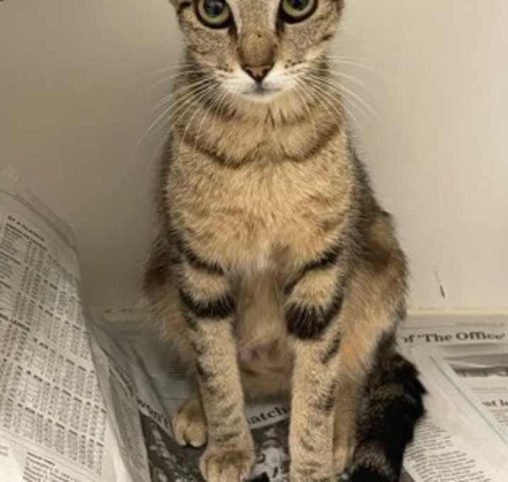 Photo of Java
