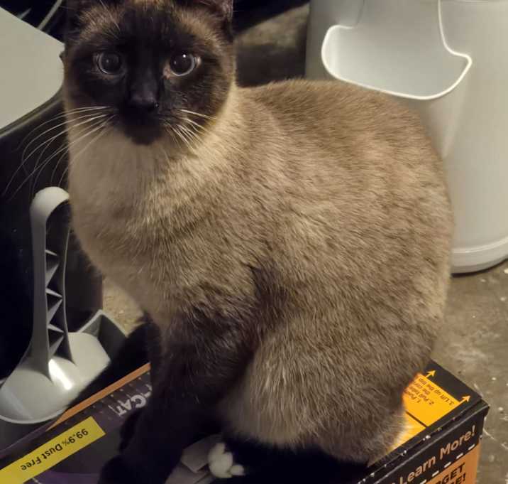Photo of Manchitas