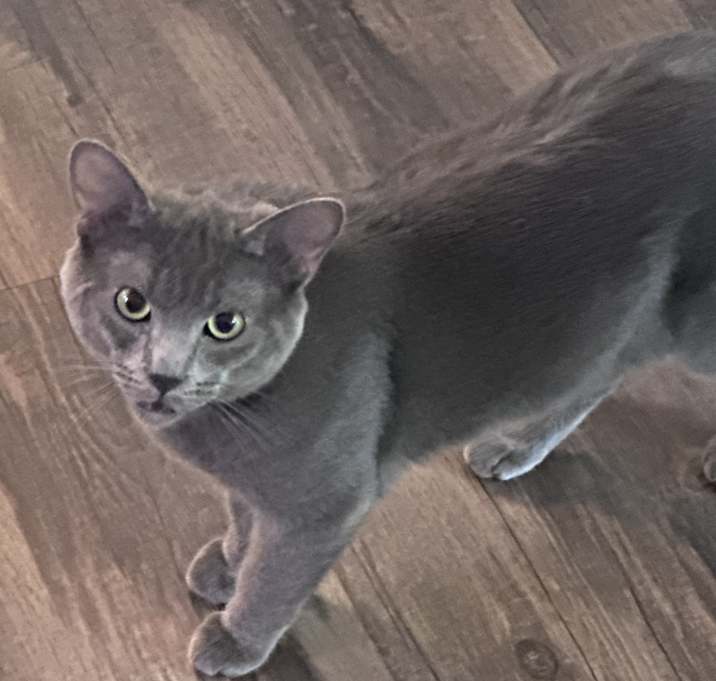 Photo of Earl Grey