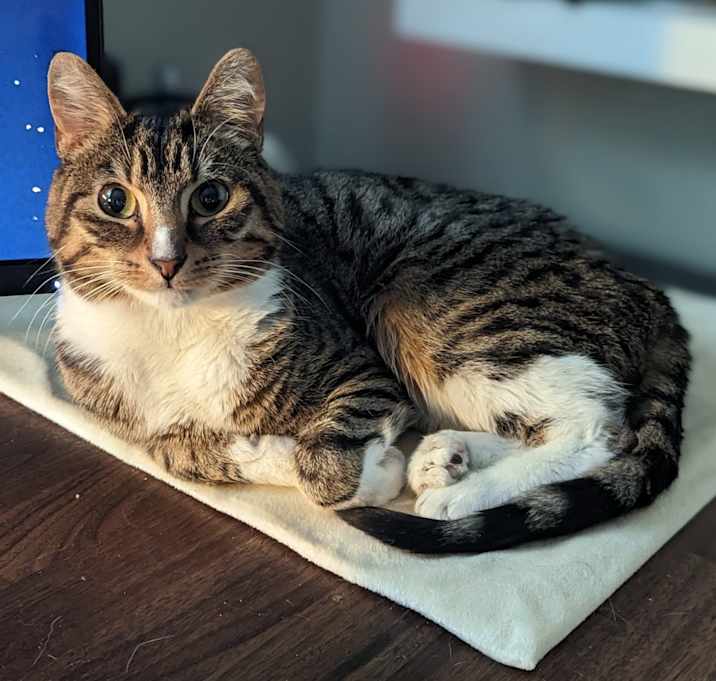 Photo of Sammy