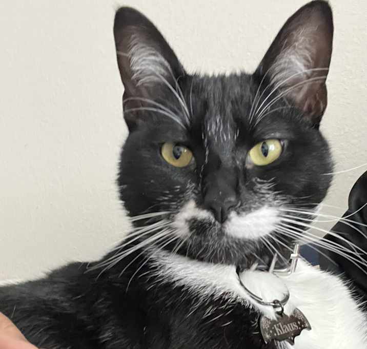 Photo of Klaus