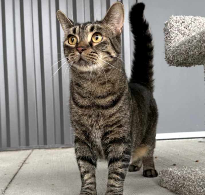 Photo of Wrangler