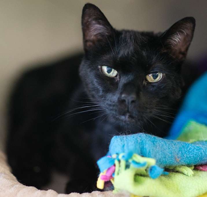 Photo of Stormy
