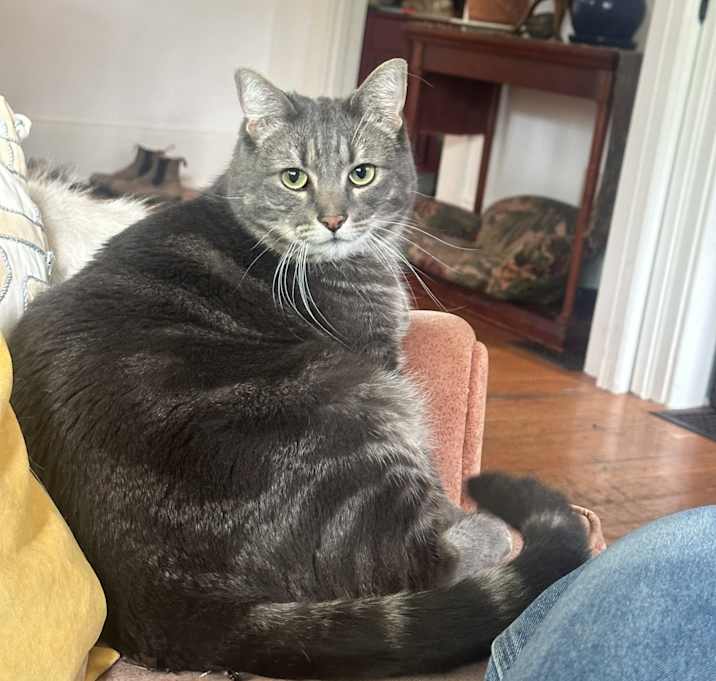 Photo of Calcifer