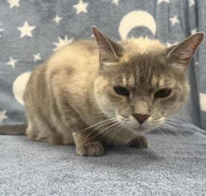 Photo of Junie