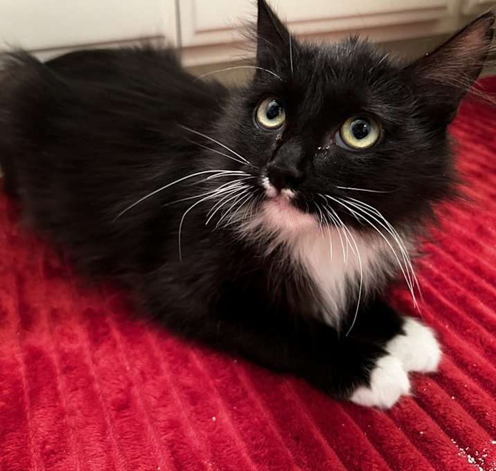 Photo of Lu