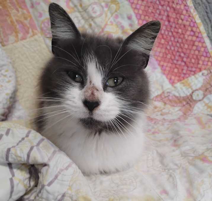 Photo of Helen