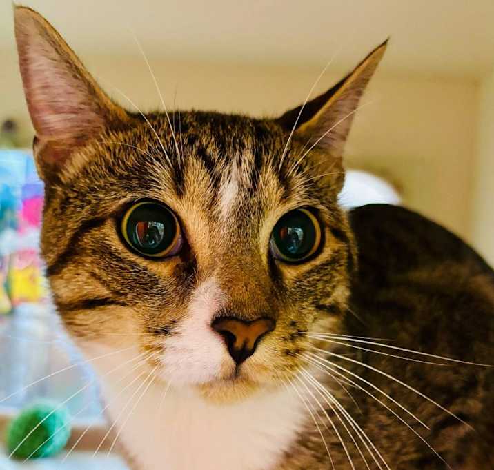 Photo of Ralph