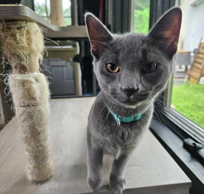 Photo of Lil Nero