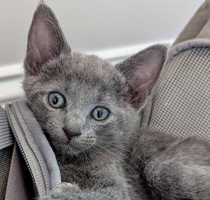 Photo of Lunar