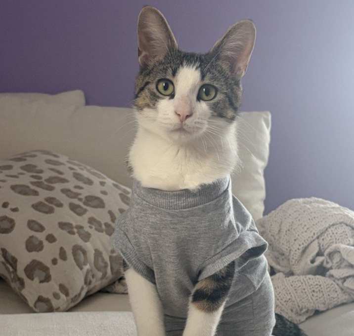 Photo of Roxie
