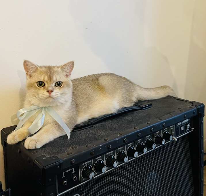 Photo of Sigmund