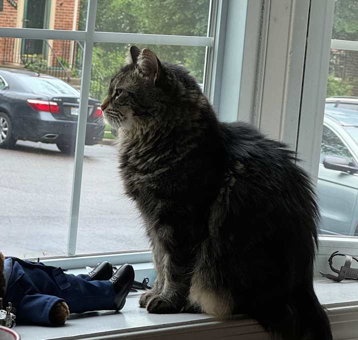 Photo of Polly