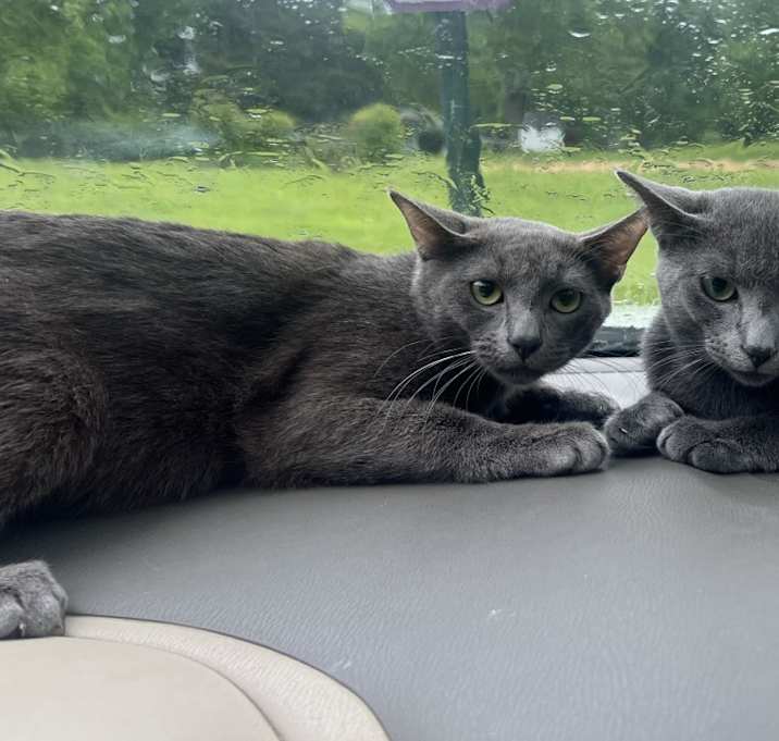 Photo of Stormy