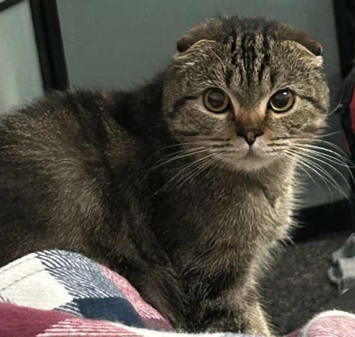Photo of Jay