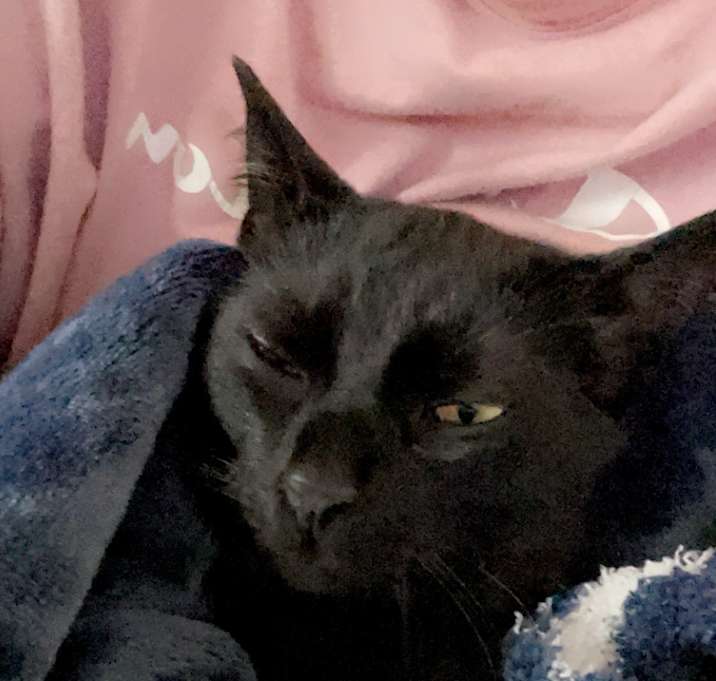 Photo of Finn