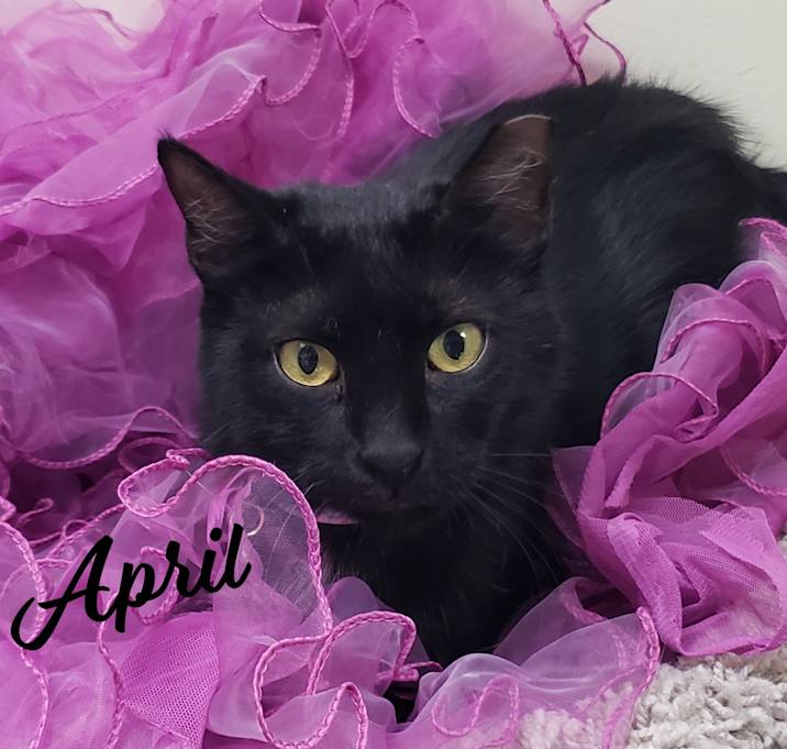 Photo of April #your-new-bestie