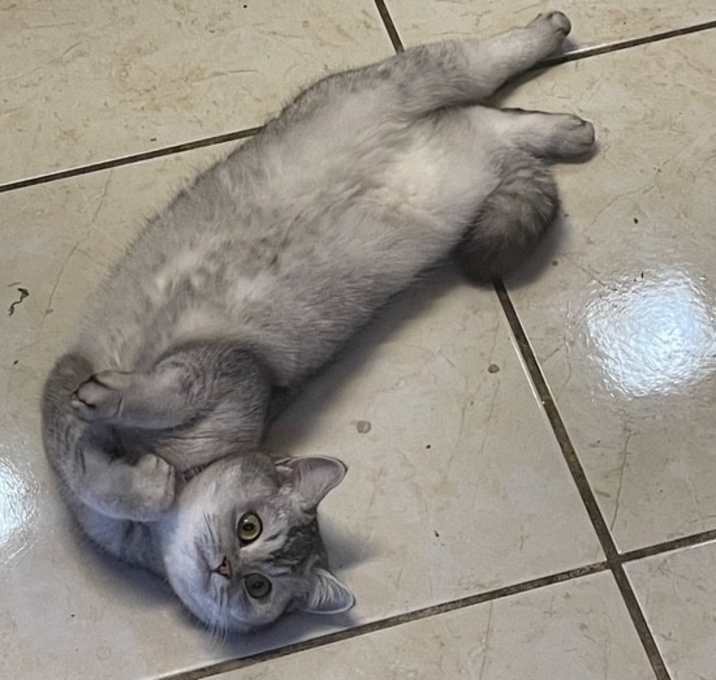 Photo of Lila
