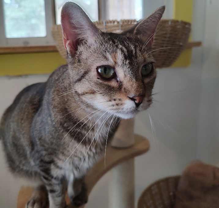 Photo of Lilly