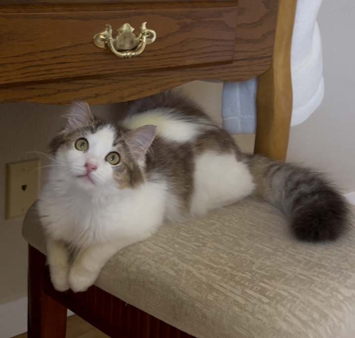 Photo of Winky