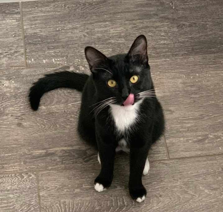Photo of Beans