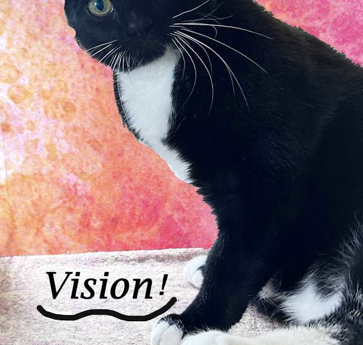 Photo of VISION