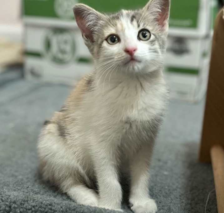 Photo of Precious