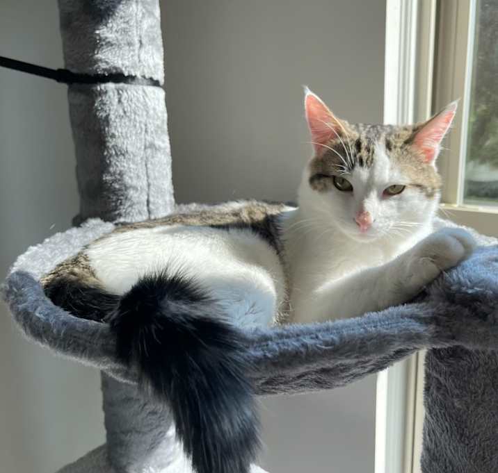 Photo of Oliver