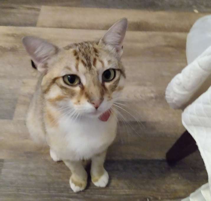 Photo of Benny