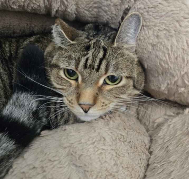 Photo of Hope