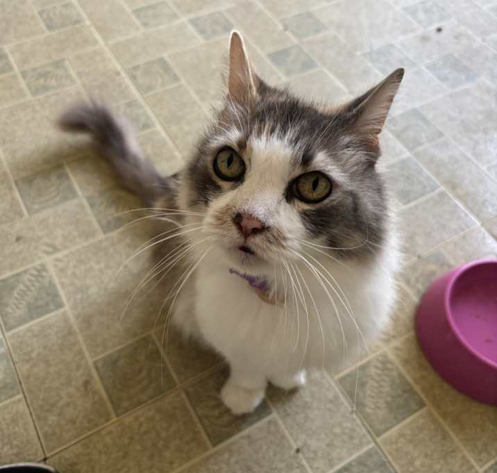 Photo of Precious