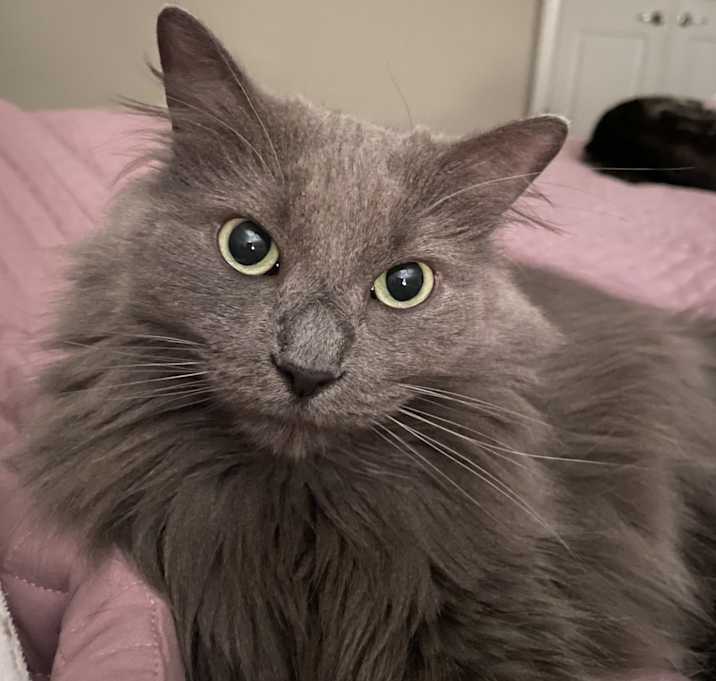 Photo of Rosie