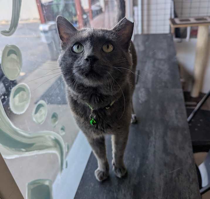 Photo of Bodie