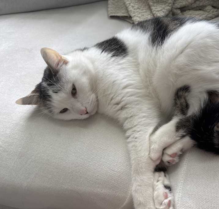 Photo of Katie