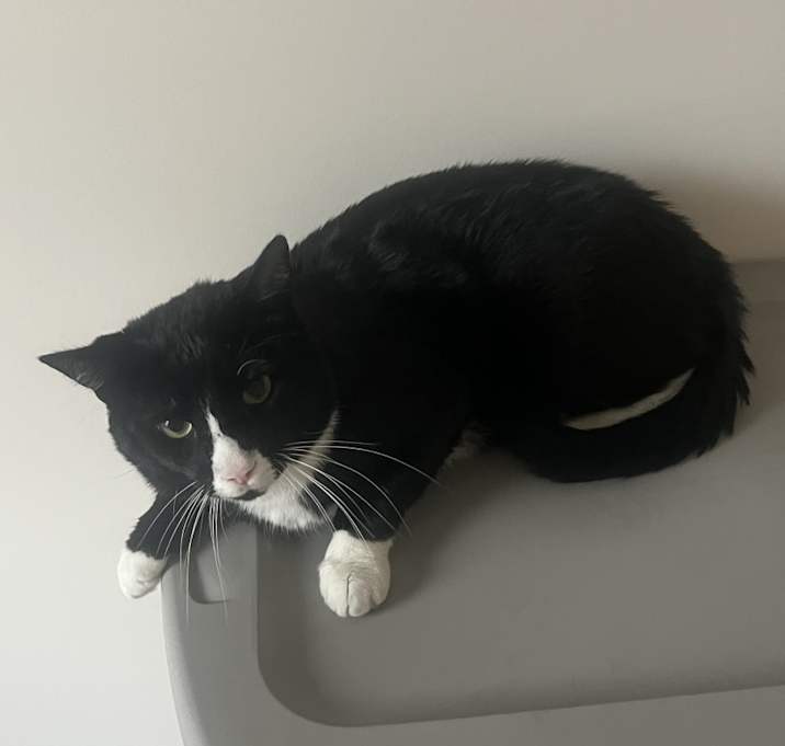 Photo of Crimson