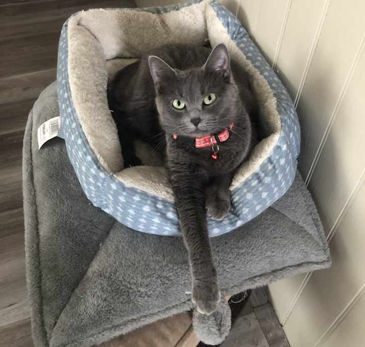 Photo of Luna