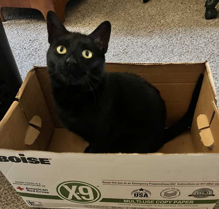 Photo of Ezra