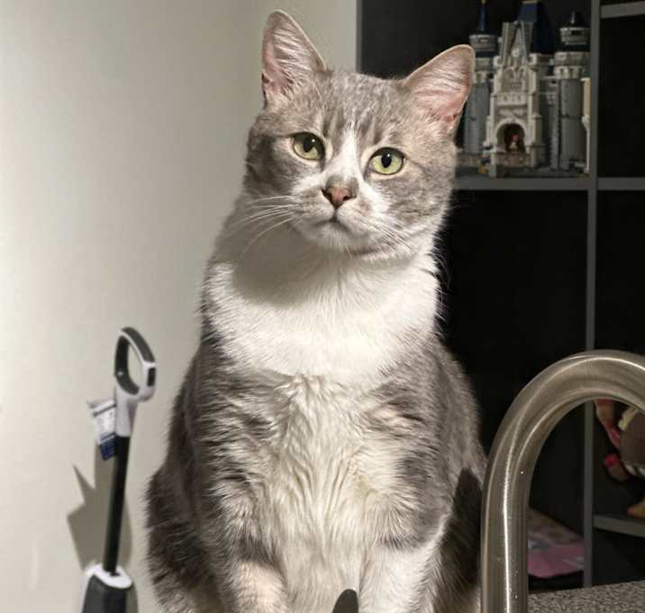 Photo of Theodore