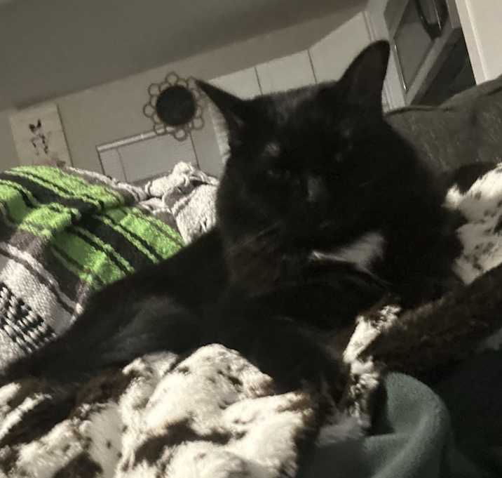 Photo of Cora
