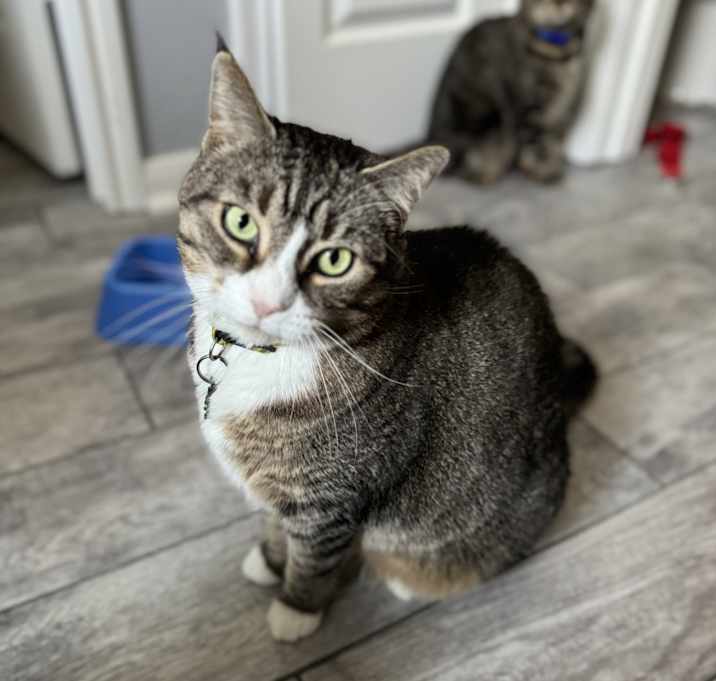 Photo of Suzie Q