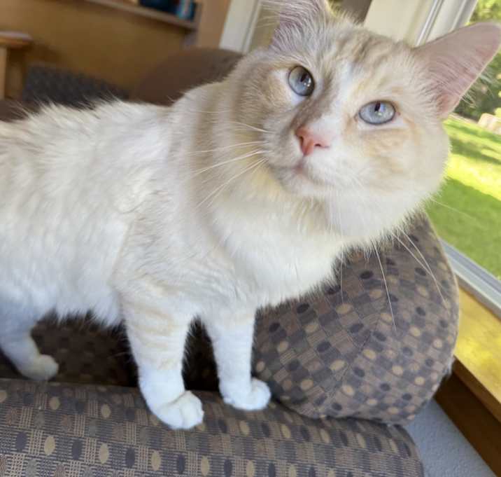 Photo of Nimbus