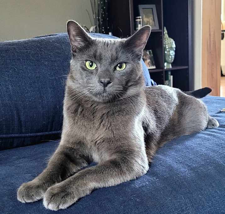 Photo of Silas