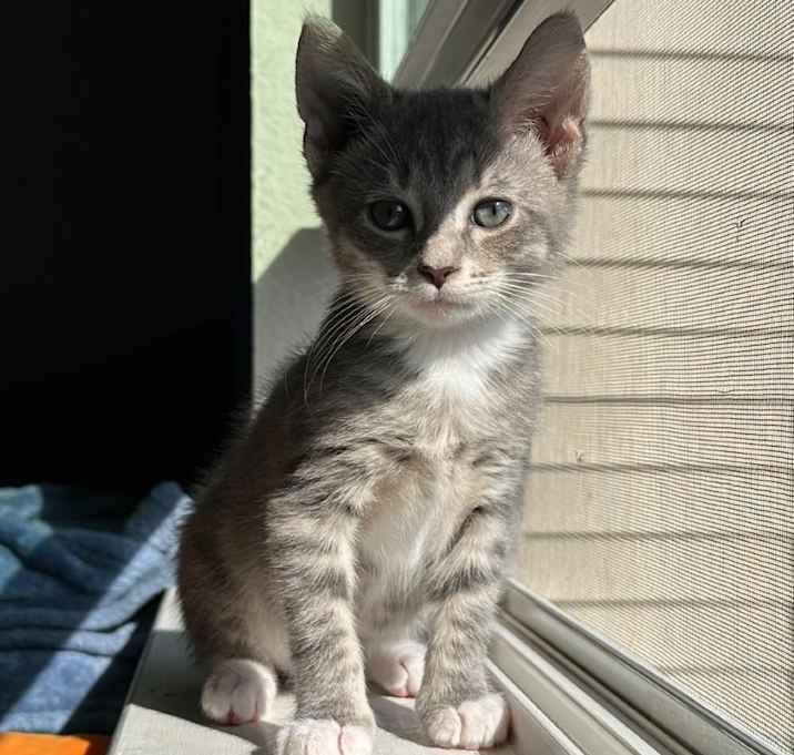 Photo of Dorian