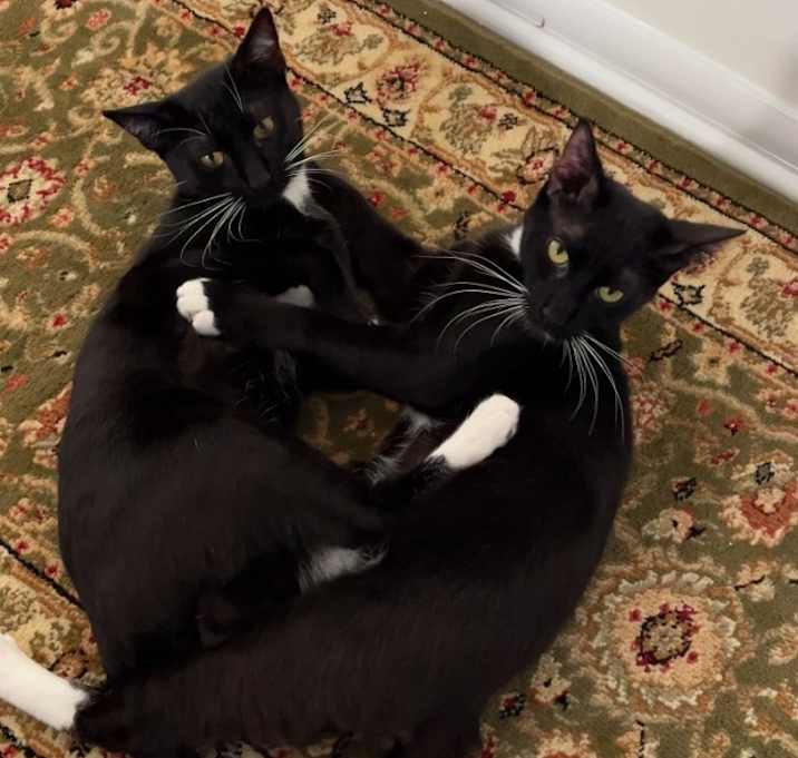 Photo of Dot & Dash