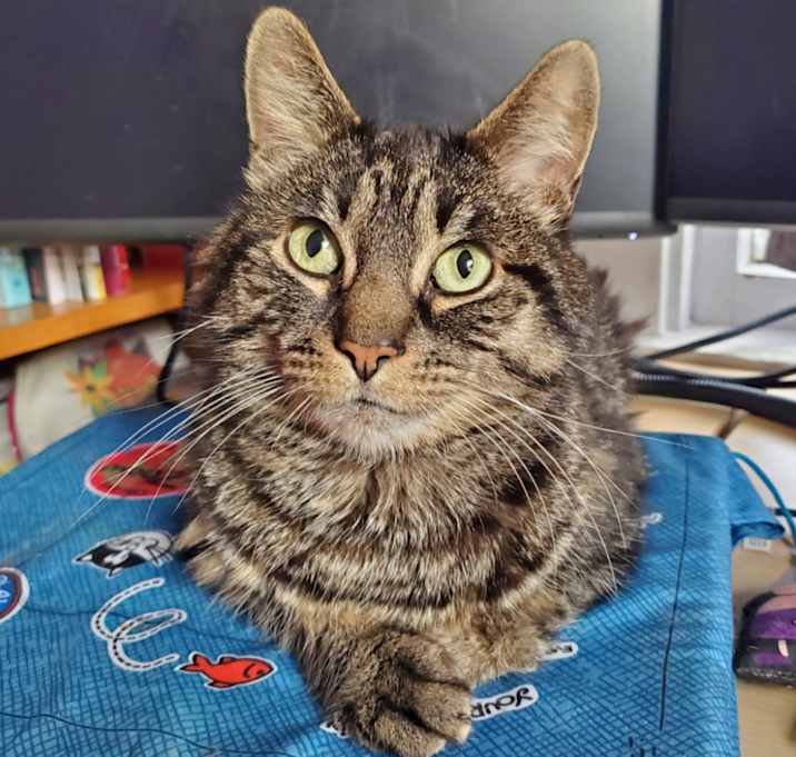 Photo of Walter