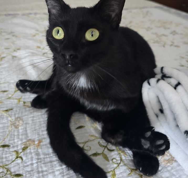 Photo of Miss Moneypenny