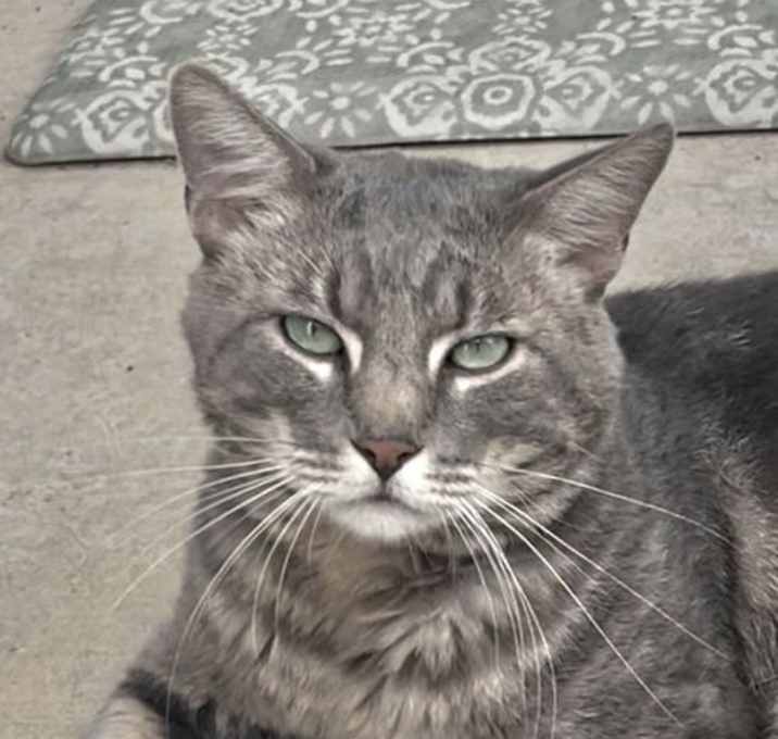 Photo of Smokey