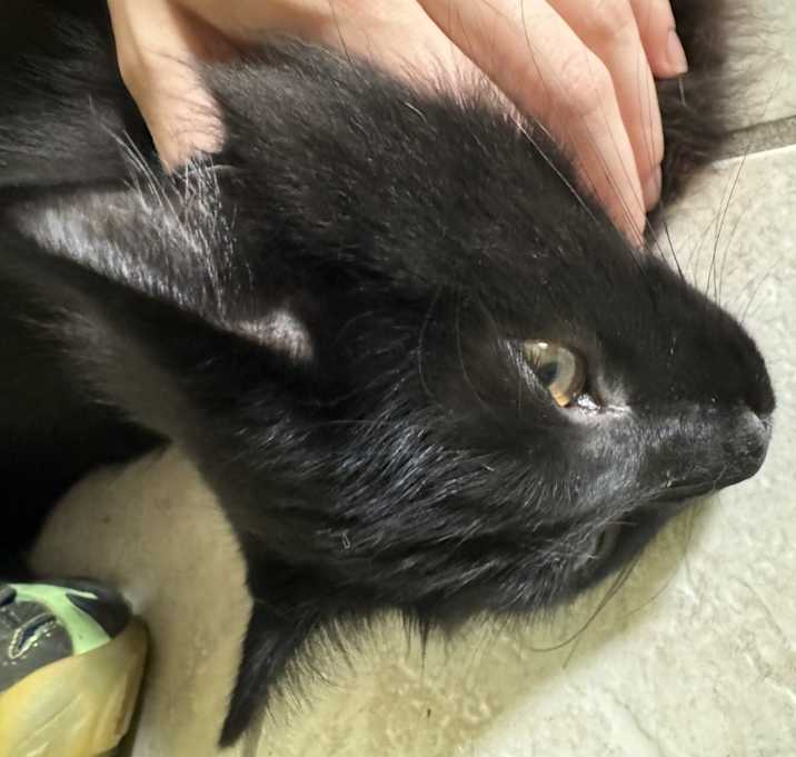 Photo of Grim